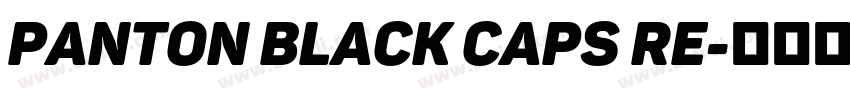 panton black caps re字体转换